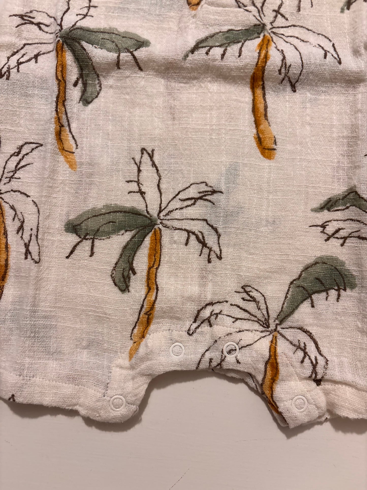 PAGLIACCETTO PALME