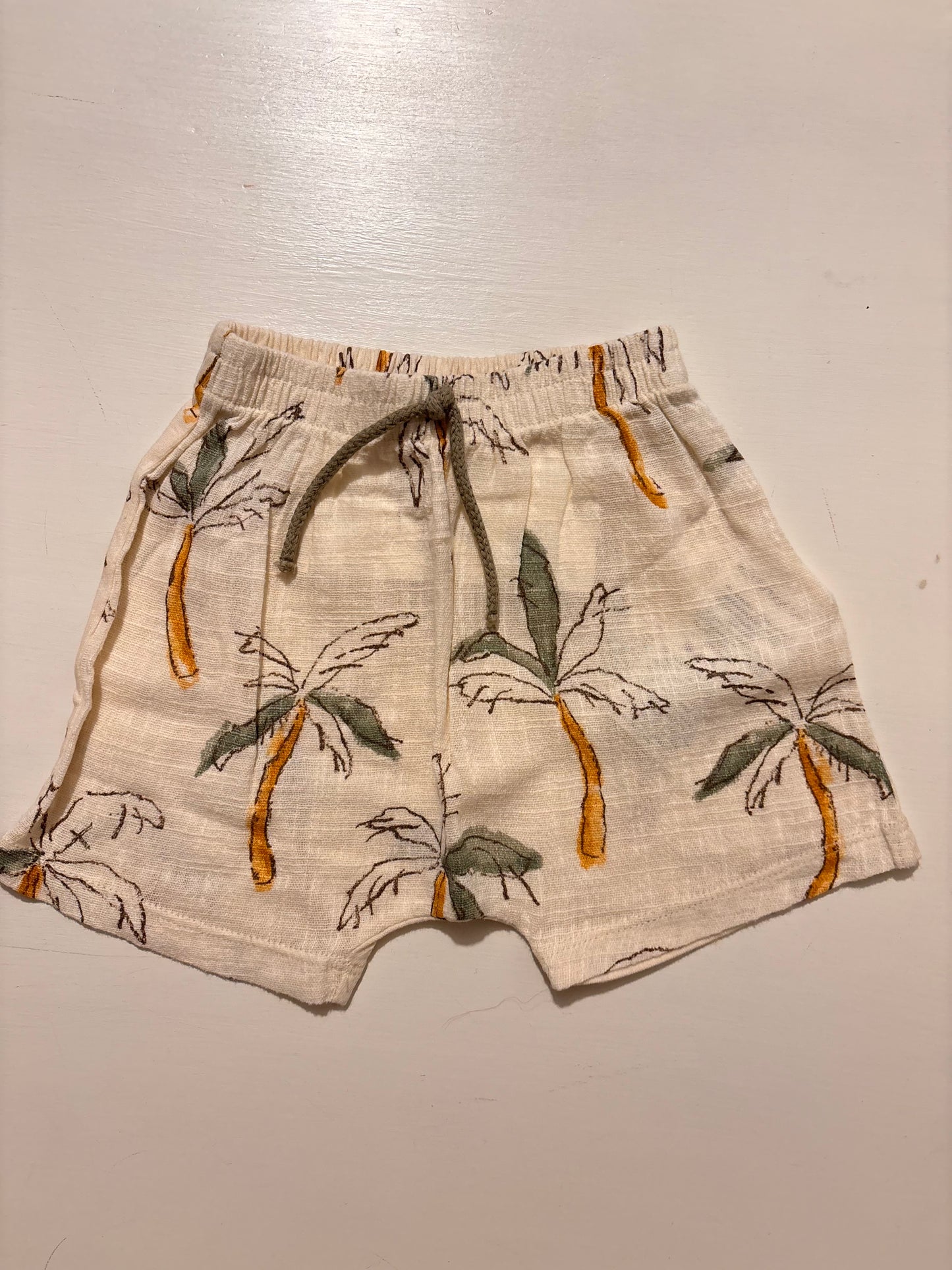 BERMUDA PALME