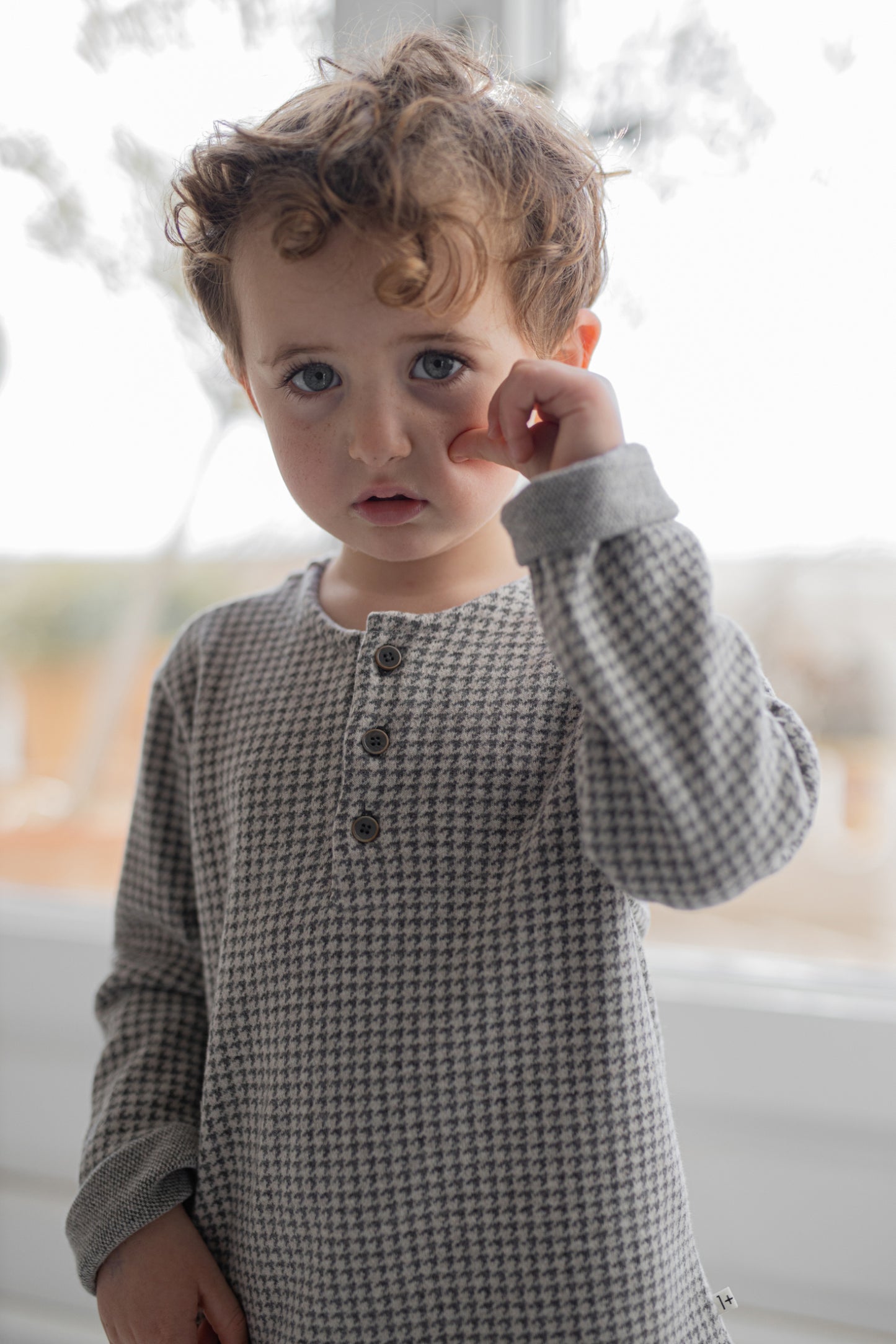 IGNASI