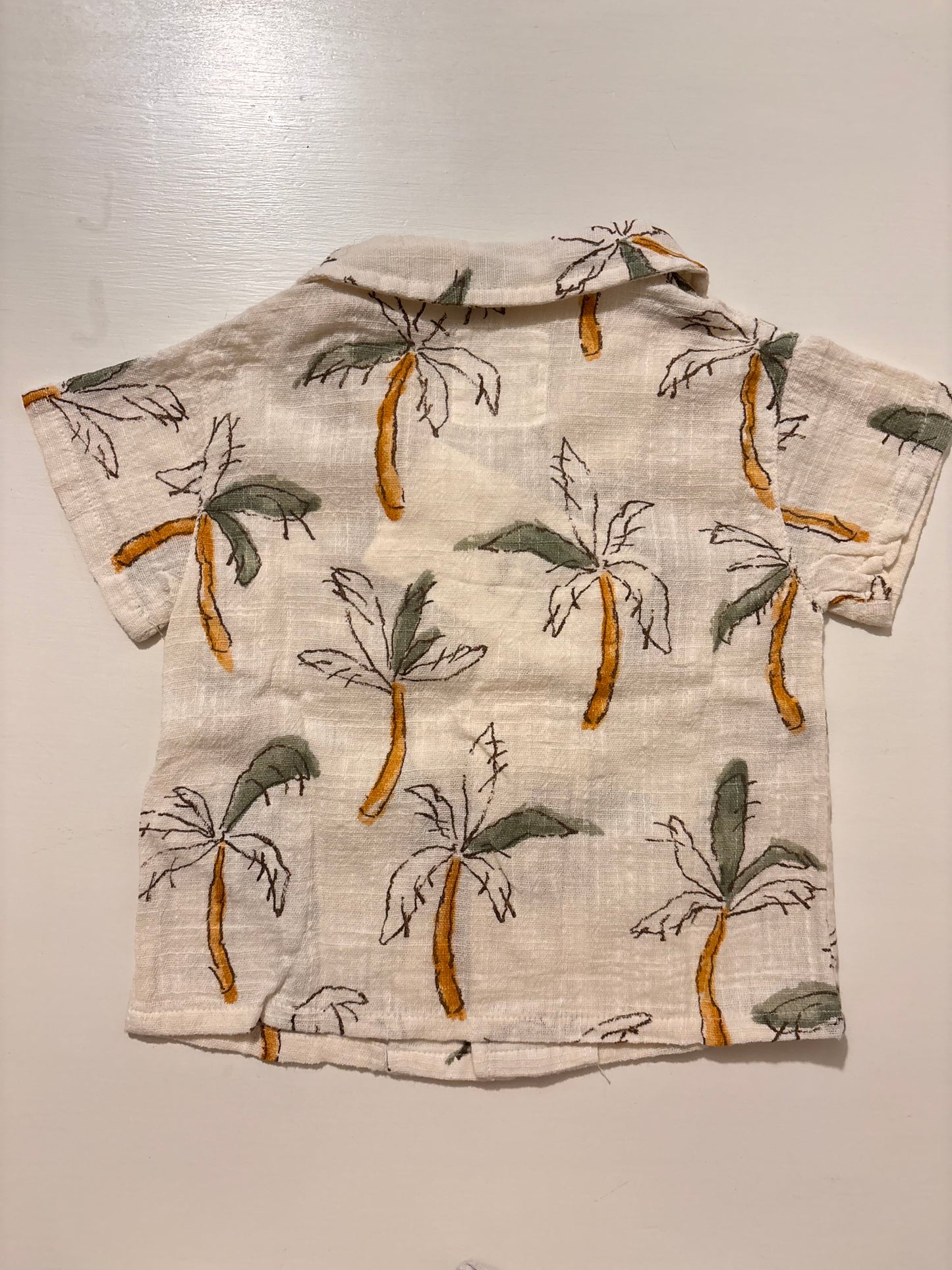 CAMICIA PALME