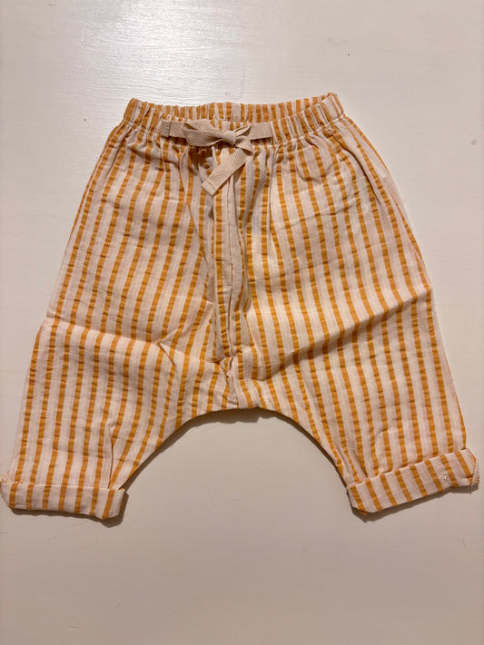 PANTA RIGA