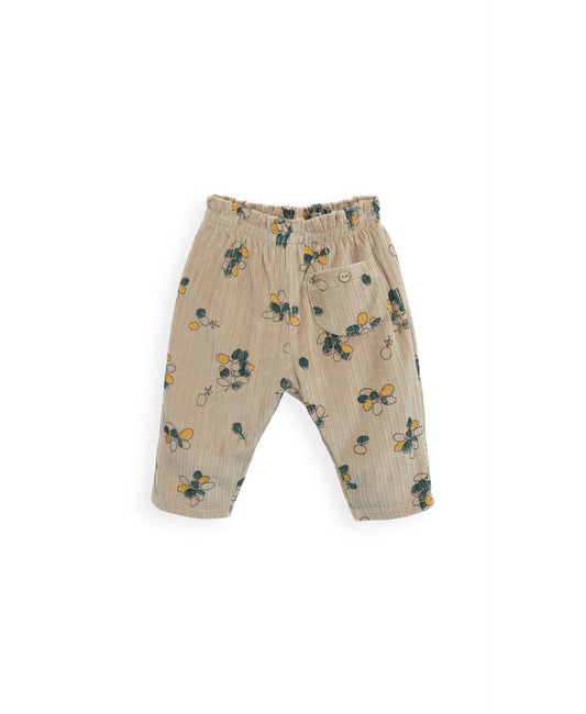 PANTALONEOLIVE